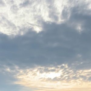 Meet your Posher, Ellen